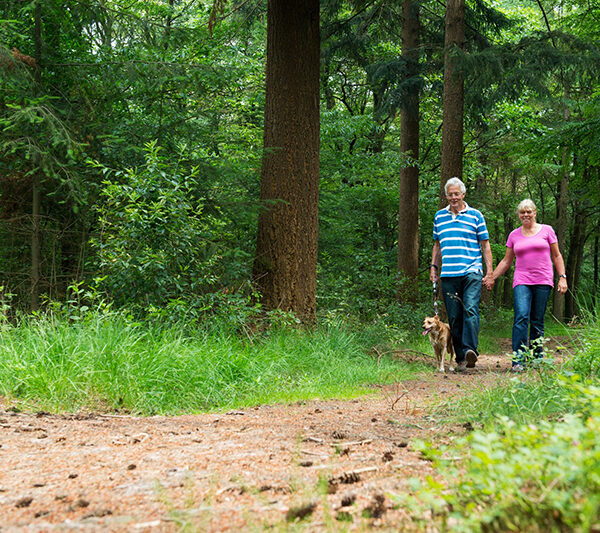 Looking Down the Trail – Planning Ahead for Retirement