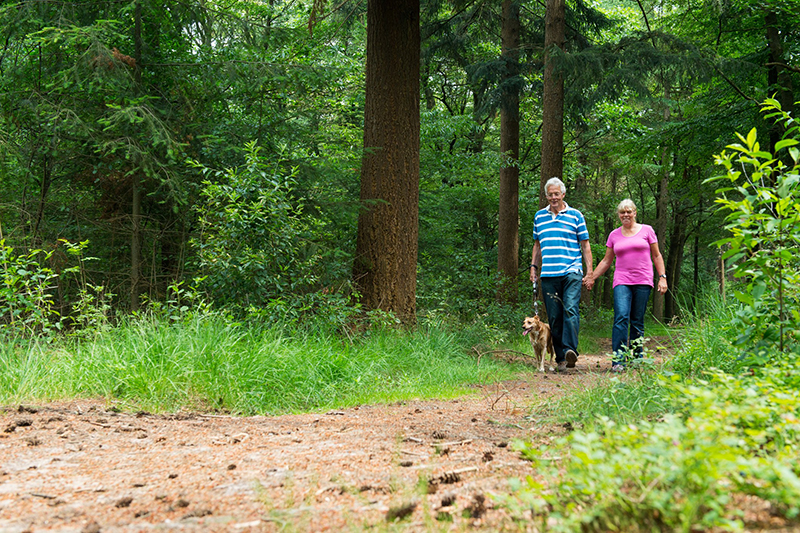 Looking Down the Trail – Planning Ahead for Retirement