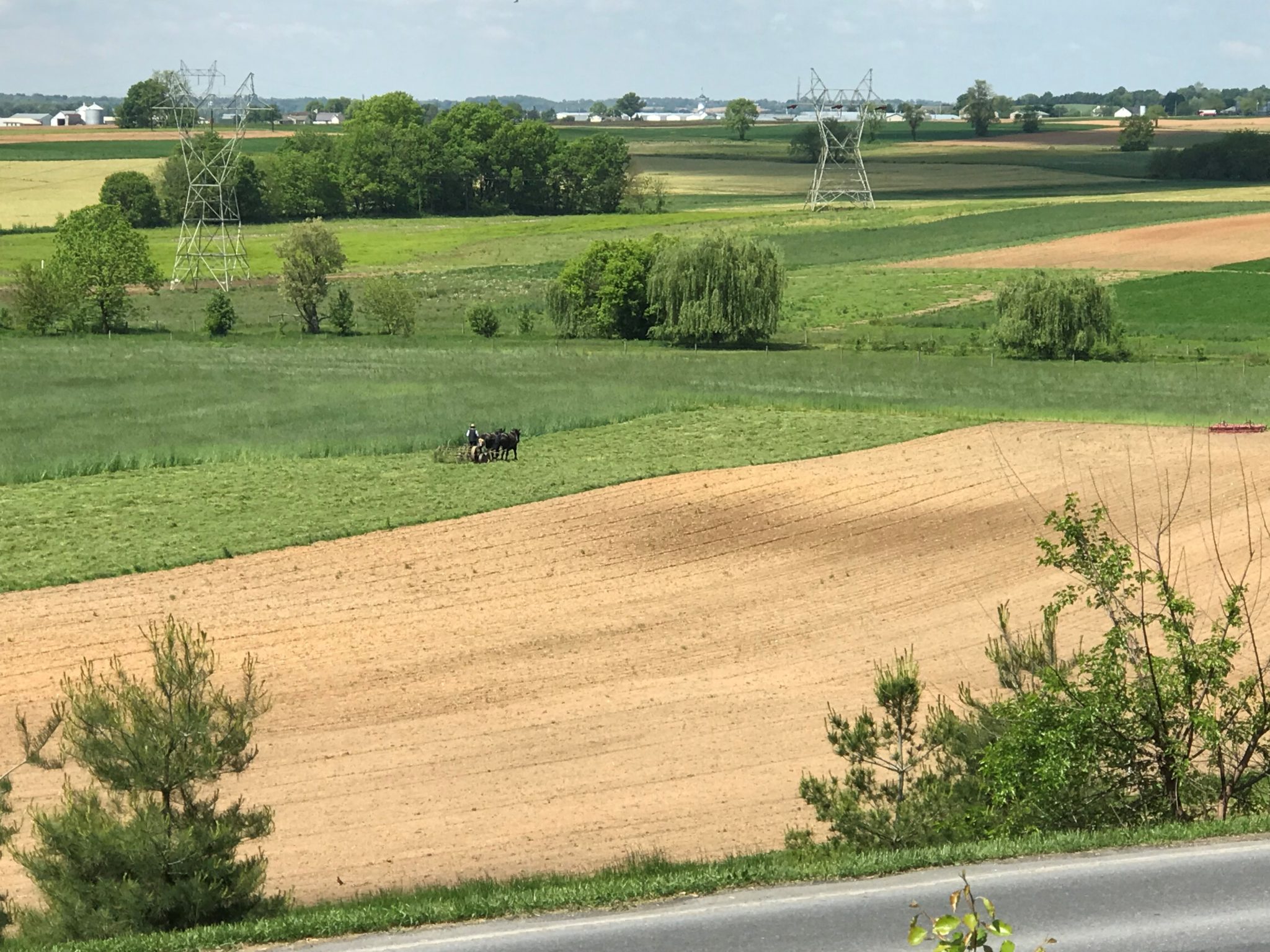 View from Cottage Deck