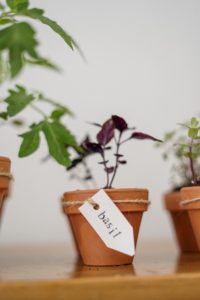 Window Sill Garden