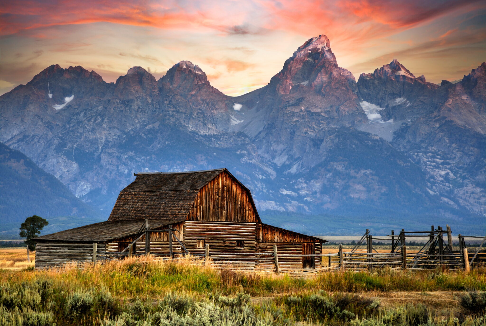 Summer Scene by John Schmidt